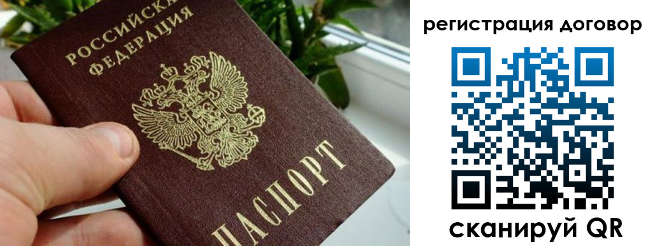 прописка ребенка в Гороховце
